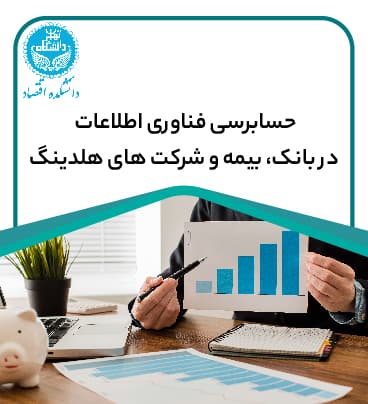 حسابرسی فناوری اطلاعات در بانک، بیمه و شرکتهای هلدینگ